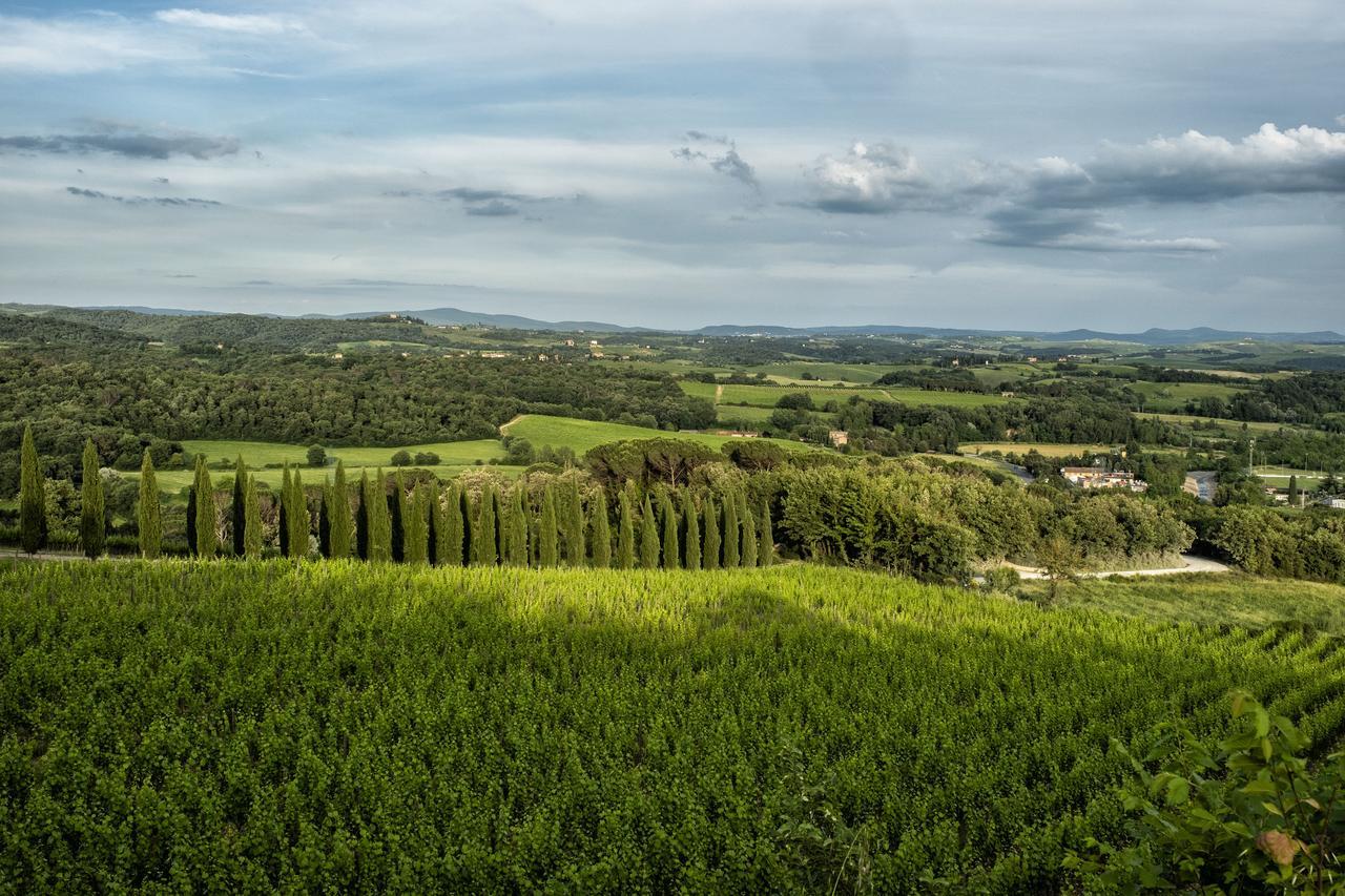 فيلا Borgo Argiano كاستيلْنْوافو بيراردين المظهر الخارجي الصورة